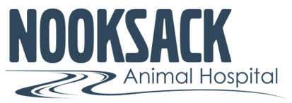 Nooksack Animal Hospital