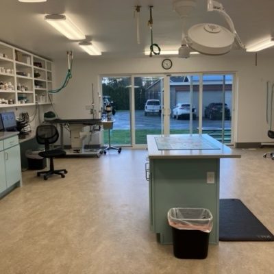 Treatment Area