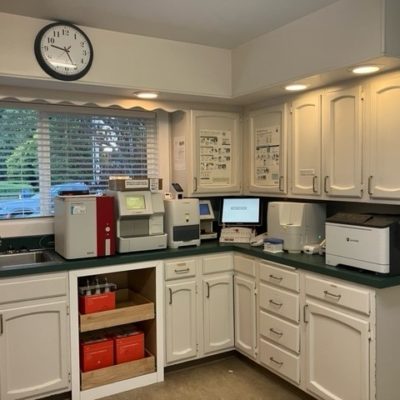 Lab