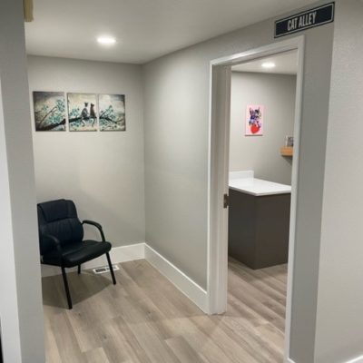 Cat Only Exam Room and Waiting Area