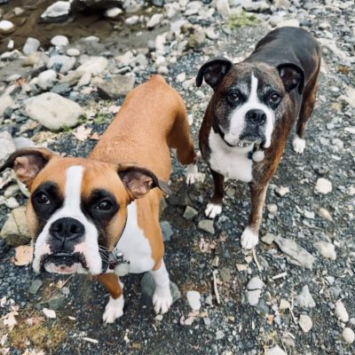 Isla and Gunner