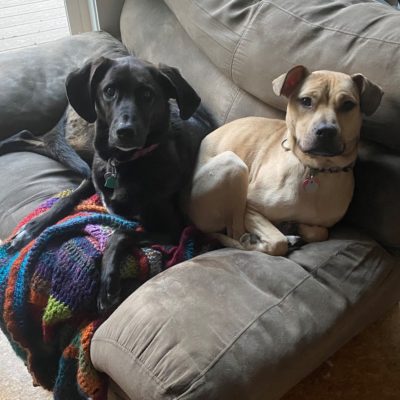 Scout and Harper