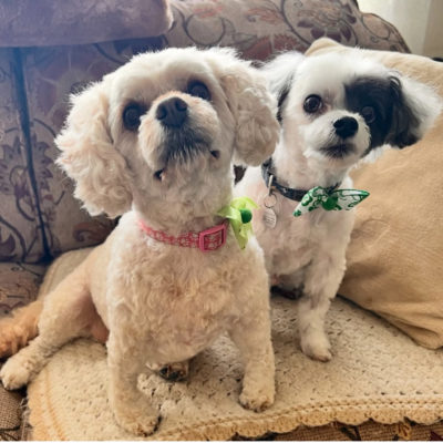 Josie and Cooper Parrish