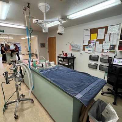 Surgical Prep Area